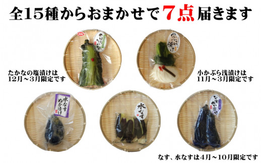 おまかせ７点セット / 漬物 冷蔵 ごはんのおとも 大根 きゅうり 白菜 古漬 梅漬け キムチ 浅漬け ぬか漬け 和歌山 田辺市【ksn003】