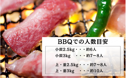 紀州備長炭BBQ用 小炭とやや大きめの混合【合計15kg】 / 紀州備長炭 ウバメガシ 炭 備長炭 詰め合わせ 馬目樫 馬目 キャンプ BBQ バーベキュー アウトドア 和歌山県 田辺市 【kif024】