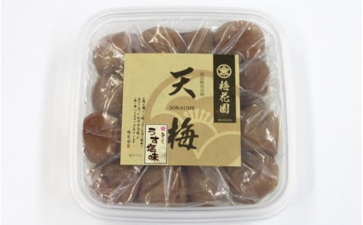 紀州南高梅 天梅(そらうめ)うすしお 500g 塩分約8％ A級品 大粒5Lサイズ /  梅干し 梅干 うめぼし 南高梅 国産 梅 うめ ウメ 健康 ご飯のお供 和歌山県 田辺市【bik004】