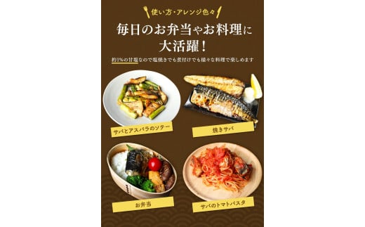 塩さば 切り身 3kg(約20枚前後）厚切り / 鯖 切り身 フィレ サバ 焼き魚 甘塩 冷凍 おかず ご家庭用 和歌山県 田辺市【mts007-3】