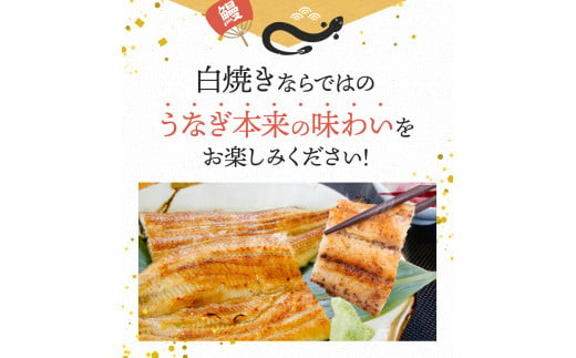 国産うなぎ白焼（5本） / 田辺市 国産 国産うなぎ 国産鰻 うなぎ 鰻 鰻丼 うな丼 土用の丑の日 和歌山【ots021】