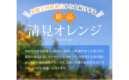 【期間限定・2025/5/15まで】清見オレンジ 4kg※2025年5月から順次発送予定※ / オレンジ きよみオレンジ きよみ 柑橘 フルーツ 果物 和歌山県 田辺市 【nak041】