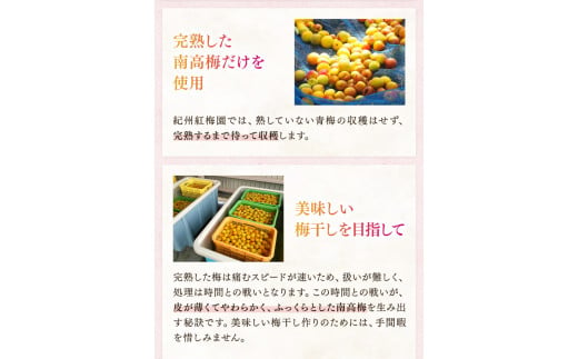 紀州南高梅「蜜恋」（塩分約5％）300ｇ×2 はちみつ梅干し A級品 大粒3L以上 / 和歌山 梅干し 田辺市 紀州南高梅 南高梅 梅干 梅 うめ 肉厚 お米 おにぎり 焼酎 梅酒 健康 はちみつ入り りんご酢 塩分約5％ 塩分控えめ【kbe040-1】