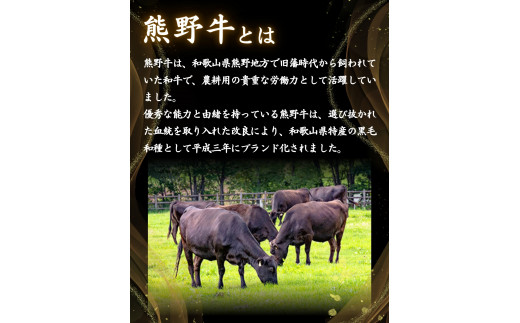 ＜熊野牛＞すき焼き用赤身もも肉　500g / 和歌山 田辺市 本宮 肉 牛肉 熊野牛 和牛 すき焼き すきやき しゃぶしゃぶ 鍋 冷凍 ギフト【hcy004】