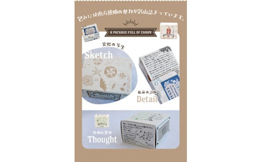 南方熊楠っまんじゅう 8個入り / まんじゅう 饅頭 おまんじゅう 和菓子 菓子 お菓子 おかし あんぱん アンパン 田辺市 和歌山 甘い 可愛い おやつ ギフト 贈り物 二宮【nnm001】