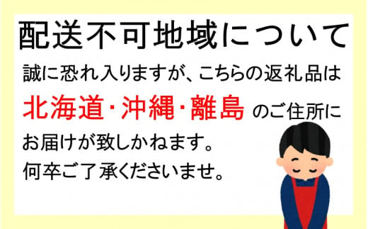 先行予約 すもも（フランコ）2kg  ※6月中旬～7月中旬頃に順次発送予定【期間限定・2025/6/20まで】 / スモモ お取り寄せ 期間限定 夏 フルーツ 果物 サンタローザ 和歌山県 田辺市【mtm003-1】