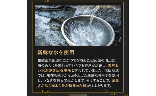 【12カ月定期便】国産うなぎ蒲焼（２本）タレ付き×12回 /  定期便 毎月お届け 和歌山 田辺市 国産 国産うなぎ 国産鰻 うなぎ 鰻 鰻丼 うな丼 土用の丑の日 冷凍【ots026-tk】