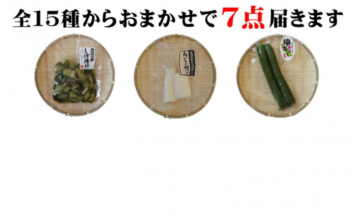 おまかせ７点セット / 漬物 冷蔵 ごはんのおとも 大根 きゅうり 白菜 古漬 梅漬け キムチ 浅漬け ぬか漬け 和歌山 田辺市【ksn003】