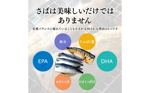 塩さば 切り身 3kg(約20枚前後）厚切り / 鯖 切り身 フィレ サバ 焼き魚 甘塩 冷凍 おかず ご家庭用 和歌山県 田辺市【mts007-3】