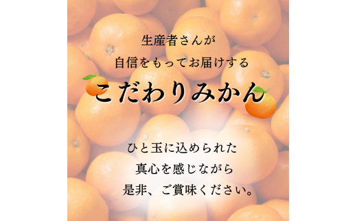 【先行予約】紀南育ちの完熟温州みかん  5?※11月下旬～12月頃に順次発送予定【期間限定:2024/11/15まで】/ 田辺市 よってって みかん 温州みかん 完熟温州みかん【prs005】