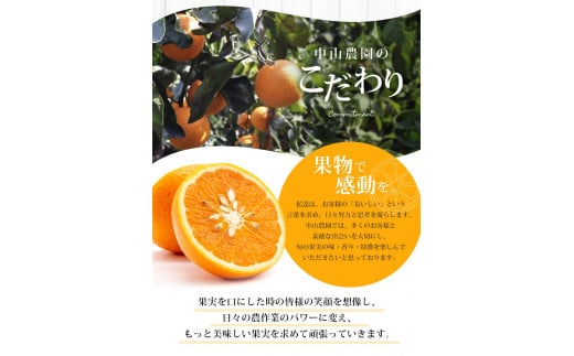 【期間限定・2025/5/15まで】清見オレンジ 1kg※2025年5月から順次発送予定※ / オレンジ きよみオレンジ きよみ 柑橘 フルーツ 果物 和歌山県 田辺市 【nak040】