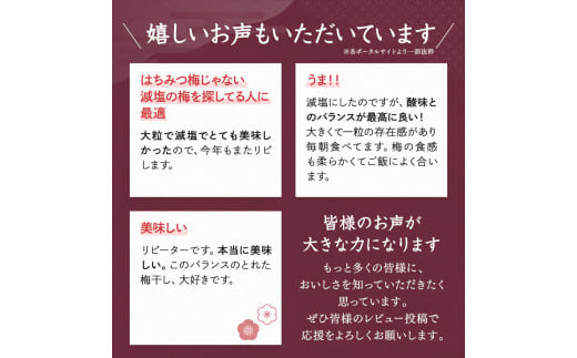 一梅千日うす塩味梅（塩分6％） 「風」 A級4Lサイズ500g / 和歌山県 田辺市 紀州南高梅 南高梅 梅干し 梅干 梅 うめ A級品 4L 肉厚 お米 おにぎり 焼酎 梅酒 健康 うす塩味 塩分6％ ご飯のお供【umm019】