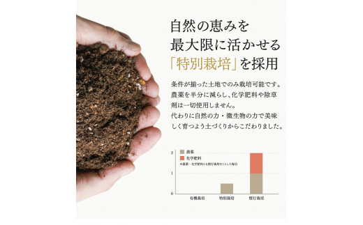 完熟梅酒「上芳養」（アルコール度数13％以上14％未満）720ｍｌ×4本  / 和歌山県 和歌山県産 不動農園 上芳養 田辺市 南高梅 紀州南高梅 完熟梅 梅酒 お酒 無添加梅酒 無添加 ロック 水割り 宅飲み 家飲み【hdu003-1】