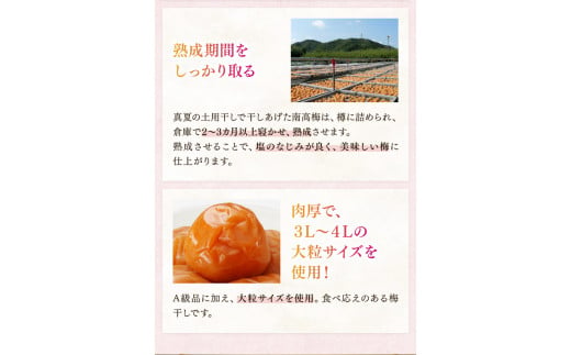 紀州南高梅「蜜恋」（塩分約5％）350ｇ はちみつ梅干し A級品 大粒3L以上 / 和歌山 梅干し 田辺市 紀州南高梅 南高梅 梅干 梅 うめ 肉厚 お米 おにぎり 焼酎 梅酒 健康 はちみつ入り りんご酢 塩分約5％ 塩分控えめ【kbe042-1】