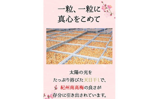 そのまんま白干梅 A級品 計1kg（250g×4個） / 梅干し 梅干 梅 紀州南高梅 A級 和歌山 和歌山県産 田辺市 南高梅 白干し梅 無添加 しょっぱい梅干し 昔ながらの梅干し なつかしい【kfo015】