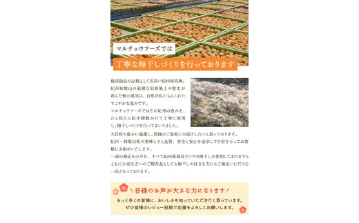 紀州みかん蜂蜜入り梅干（塩分約5％） 500g / はちみつ梅干し 和歌山 田辺市 紀州南高梅 南高梅 梅干し 梅干 梅 はちみつ 肉厚 お米 おにぎり 焼酎 梅酒 健康 みかん蜂蜜 甘い梅干し ご飯のお供 まろやか【mtz016】