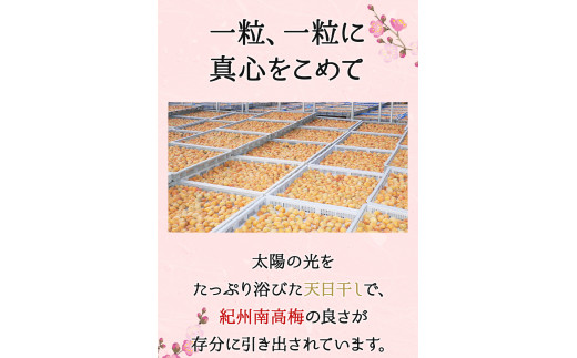 そのまんま白干梅 A級品 計1.5kg（250g×6個） / 梅干し 梅干 梅 和歌山 和歌山県産 田辺市 紀州南高梅 南高梅 白干し梅 無添加 しょっぱい梅干し 昔ながらの梅干し なつかしい A級【kfo007】