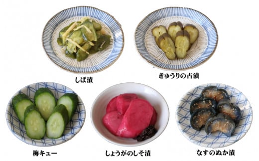 おまかせ５点セット / 漬物 冷蔵 ごはんのおとも 大根 きゅうり 白菜 古漬 梅漬け キムチ 浅漬け ぬか漬け 和歌山 田辺市【ksn002】