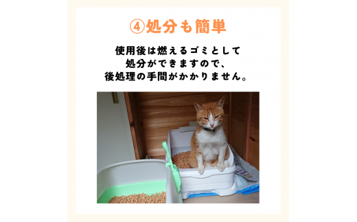 森のねこトイレ（2.5L×4袋入り） / ねこ トイレ ネコトイレ 猫 トイレ ペットトイレ 猫砂 システムトイレ用 国産 ヒノキ 檜 紀州ひのき 紀州ヒノキ 抗菌 消臭 防カビ 防虫 CO2削減 エコ エコな砂【kgk005】