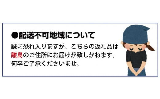 ふわっと香る紀州南高梅　青梅3kg ※2025年6月下旬～７月上旬頃に順次発送予定【期間限定：2025年5月31日まで】 / 和歌山 田辺市 紀州南高梅 南高梅 梅干し 梅干 梅 うめ 青梅 梅シロップ 梅酒 【nok001】