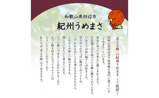 一梅千日うす塩味梅（塩分6％） 「風」 A級4Lサイズ500g / 和歌山県 田辺市 紀州南高梅 南高梅 梅干し 梅干 梅 うめ A級品 4L 肉厚 お米 おにぎり 焼酎 梅酒 健康 うす塩味 塩分6％ ご飯のお供【umm019】