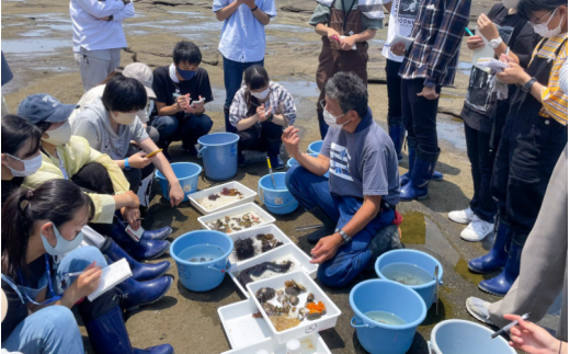 【返礼品なし】天神崎の自然を守るための寄附（寄附のみの受付となります）/ 田辺市 和歌山県 天神崎 自然 海 環境保護 【tjz003】