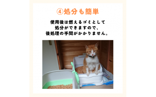 森のねこトイレ（2.5L×12袋入り） / ねこ トイレ ネコトイレ 猫 トイレ ペットトイレ 猫砂 システムトイレ用 国産 ヒノキ 檜 紀州ひのき 紀州ヒノキ 抗菌 消臭 防カビ 防虫 CO2削減 エコ エコな砂【kgk003】