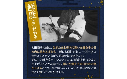 【6カ月定期便】【交互にお届け】国産うなぎ蒲焼 (2本) タレ付×3回　国産うなぎ白焼 (2本) 醤油・わさび付き×3回 /  定期便 毎月お届け 和歌山 田辺市 国産 国産うなぎ 国産鰻 うなぎ 鰻 鰻丼 うな丼 土用の丑の日【ots031-tk】