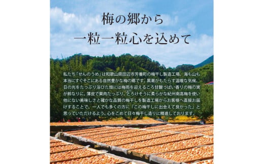 【A級品】紀州南高梅 しそ梅 1kg 塩分12％ / 梅干し 梅干 うめぼし 南高梅 しそ梅 しそ梅干し シソ 紫蘇 国産 梅 うめ ウメ 完熟 健康 ご飯のお供 贈り物 ギフト プレゼント お取り寄せ せんのうめ 和歌山県 田辺市 仙宝【spo002】