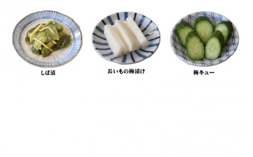 おまかせ７点セット / 漬物 冷蔵 ごはんのおとも 大根 きゅうり 白菜 古漬 梅漬け キムチ 浅漬け ぬか漬け 和歌山 田辺市【ksn003】