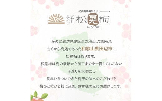 ＼レビューキャンペーン中／ 【紀州南高梅】ご飯に合う甘くない はちみつ梅干（塩分8％）80g×3パック A級品 / 梅干し 梅干 梅 紀州南高梅 南高梅 はちみつ使用 はちみつ梅 肉厚 お米 おにぎり はちみつ梅 塩分8％ 塩分控えめ 和歌山 田辺市【ske053】