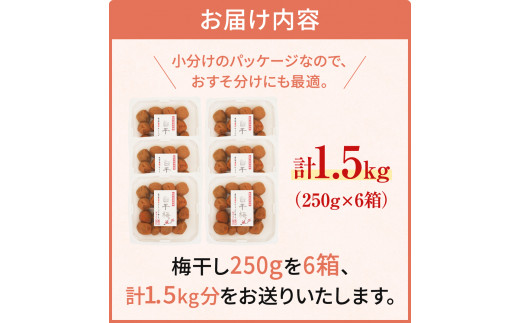 そのまんま白干梅 A級品 計1.5kg（250g×6個） / 梅干し 梅干 梅 和歌山 和歌山県産 田辺市 紀州南高梅 南高梅 白干し梅 無添加 しょっぱい梅干し 昔ながらの梅干し なつかしい A級【kfo007】