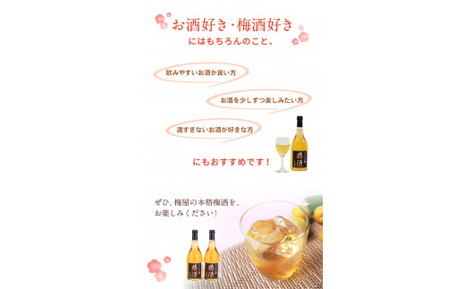 紀州梅酒　720ml×2本入（化粧箱入り） / 和歌山 田辺市 紀州南高梅 南高梅 梅酒 梅 ロック 水割り 宅飲み 家飲み 家庭用 化粧箱【umy025】