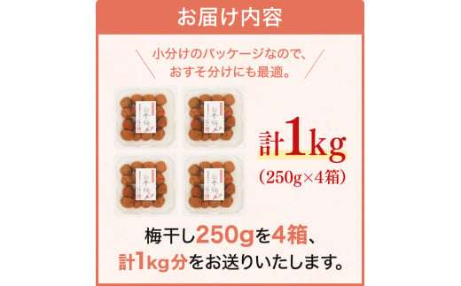 そのまんま白干梅 A級品 計1kg（250g×4個） / 梅干し 梅干 梅 紀州南高梅 A級 和歌山 和歌山県産 田辺市 南高梅 白干し梅 無添加 しょっぱい梅干し 昔ながらの梅干し なつかしい【kfo015】