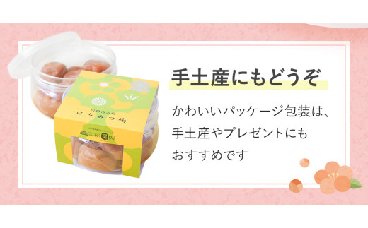 紀州南高梅 はちみつ梅干し （塩分8％）180g×4個 A級品 / 和歌山 梅干し 田辺市 紀州南高梅 南高梅 梅干 梅 小梅 はちみつ使用 はちみつ梅 肉厚 お米 おにぎり 焼酎 梅酒 健康 はちみつ梅 塩分8％ 塩分控えめ【ske001-1】