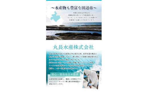 【厚切り！】 銀鮭 切り身 2kg うす塩 / 鮭 切身 さけ サケ シャケ 大きい 塩 冷凍 おかず お弁当 魚 和歌山県 田辺市 ご家庭用 正規品【mts009-1】