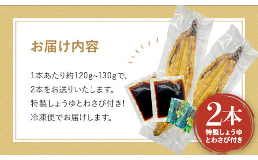 国産うなぎ白焼（２本） /  和歌山 田辺市 国産 国産うなぎ 国産鰻 うなぎ 鰻 鰻丼 うな丼 土用の丑の日【ots019】