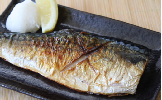 塩さば 切り身 3kg(約20枚前後）厚切り / 鯖 切り身 フィレ サバ 焼き魚 甘塩 冷凍 おかず ご家庭用 和歌山県 田辺市【mts007-3】