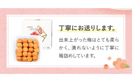 紀州南高梅 はちみつ梅干し （塩分8％）700g A級品 / 梅干し 梅干 梅 和歌山 梅干し 田辺市 紀州南高梅 南高梅 はちみつ使用 はちみつ梅 肉厚 お米 おにぎり 焼酎 梅酒 健康 はちみつ梅 塩分8％ 塩分控えめ【ske007】