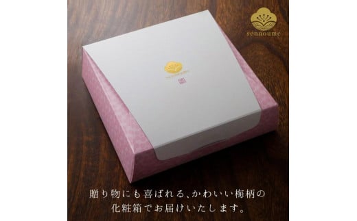 【A級品】紀州南高梅 黒潮梅 1kg 塩分10％ / 梅干し 梅干 うめぼし 南高梅 国産 梅 うめ ウメ 完熟 しそ 紫蘇 シソ かつお 鰹 カツオ 健康 ご飯のお供 昔ながら 贈り物 ギフト プレゼント お取り寄せ せんのうめ 和歌山県 田辺市 仙宝【spo004】