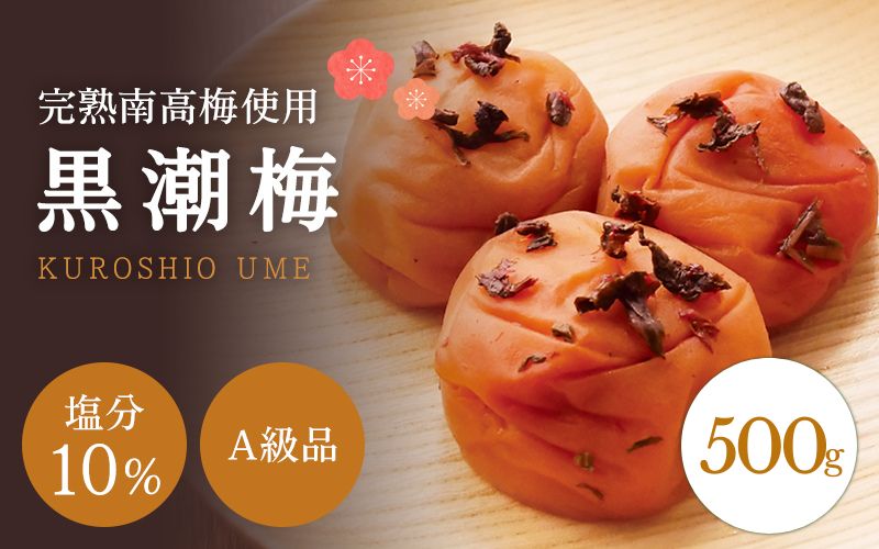【A級品】紀州南高梅 黒潮梅 500g 塩分10％ / 梅干し 梅干 うめぼし 南高梅 国産 梅 うめ ウメ 完熟 しそ 紫蘇 シソ かつお 鰹 カツオ 健康 ご飯のお供 昔ながら 贈り物 ギフト プレゼント お取り寄せ せんのうめ 和歌山県 田辺市 仙宝【spo009】