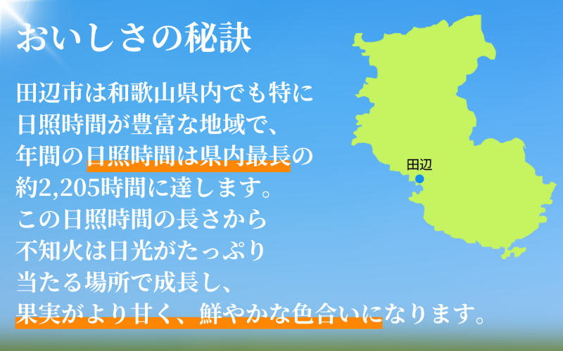紀州田辺の 不知火 5kg（2026年3月頃から順次発送予定） / デコポン でこぽん 柑橘 和歌山 みかんランキング 果物 くだもの フルーツ 柑橘 産地直送 国産 和歌山 【tcs017-1】