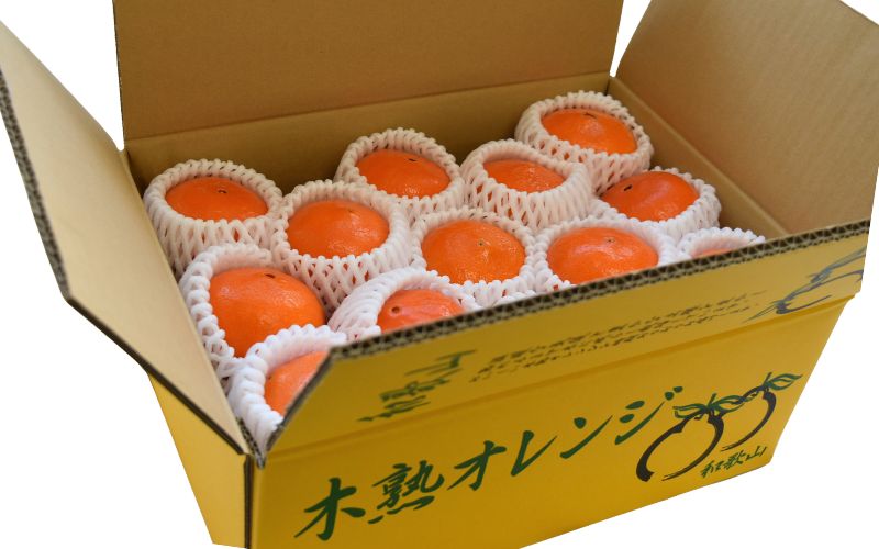 ã2027幎åå
è¡äºçŽãã¹ã«ã°ã 5kg â»2027幎1æäžæ¬ïœé 次çºéäºå®ãæééå®ã»æ°ééå®ã / ã¿ãã èæ 5ãã çŽ
æ ãåãå¯ã ç£å°çŽé èŽçå ã®ãã æç© ãã ãã® ãã«ãŒã ç°èŸºåž åæå±±çãymh024ã