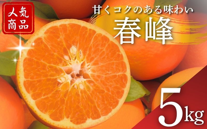 【2027年分先行予約】春峰 5kg ※2027年3月上旬～順次発送予定【期間限定・数量限定】 / みかん 蜜柑 5キロ しゅんぽう お取り寄せ 産地直送 贈答品 ギフト 果物 くだもの フルーツ 田辺市 和歌山県【ymh025】 