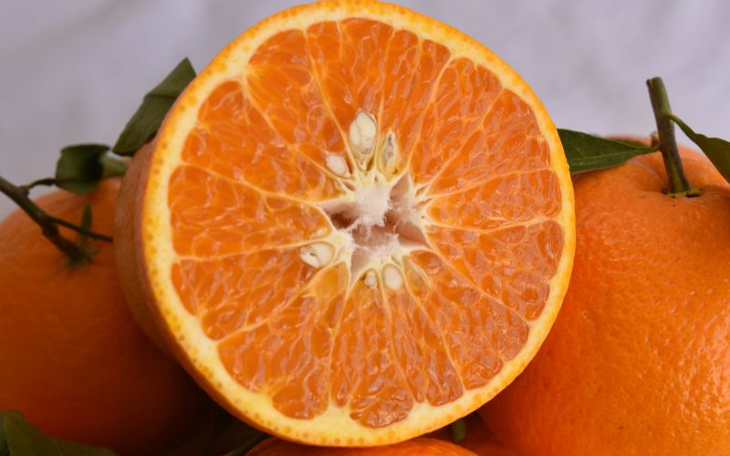 【2027年分先行予約】春峰 5kg ※2027年3月上旬～順次発送予定【期間限定・数量限定】 / みかん 蜜柑 5キロ しゅんぽう お取り寄せ 産地直送 贈答品 ギフト 果物 くだもの フルーツ 田辺市 和歌山県【ymh025】 