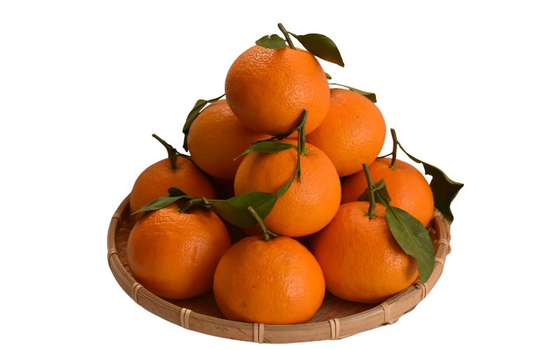 【2027年分先行予約】春峰 5kg ※2027年3月上旬～順次発送予定【期間限定・数量限定】 / みかん 蜜柑 5キロ しゅんぽう お取り寄せ 産地直送 贈答品 ギフト 果物 くだもの フルーツ 田辺市 和歌山県【ymh025】 