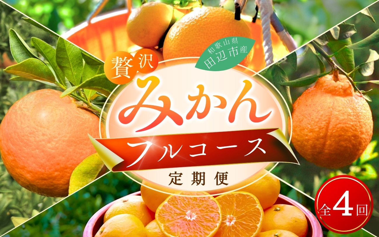 【4回定期便】【先行予約】贅沢みかんフルコース / 宮川早生みかん・ポンカン・紅八朔・不知火※2024年12月より発送（期間限定・12/20まで受付） / 和歌山県 ミカン フルーツ 果物 柑橘 田辺市 みかん くだもの【nak030-tk】