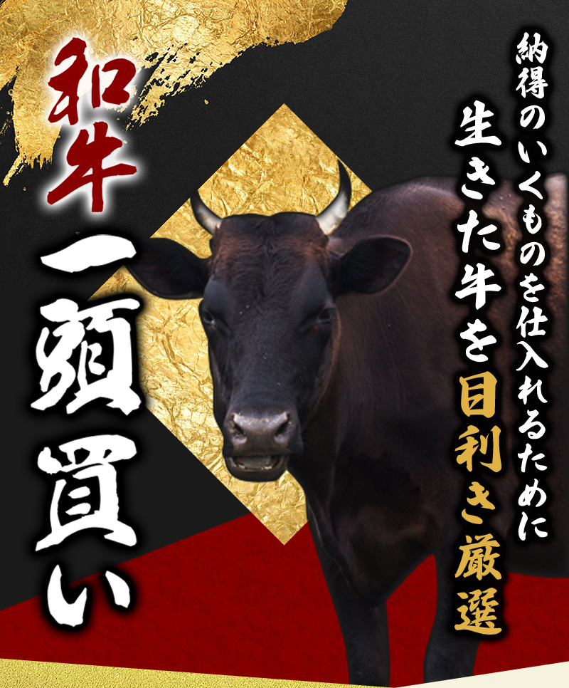 尾呂志屋精肉店の和牛 すじ肉 500g 【1か月以内に順次発送】 /  和牛 すじにく すじ肉 スジ肉 牛肉 牛 精肉 