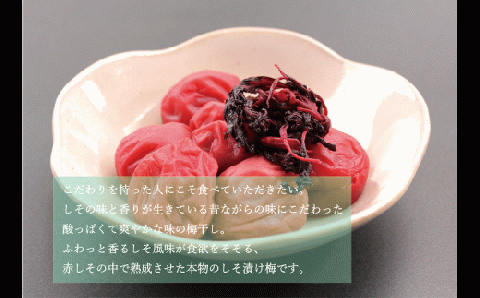 【贈答用】紀州南高梅 食べ比べセット 500g×2　（しそ・うす味）