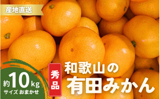 【11月発送】秀品 有田みかん 和歌山県産 S～Lサイズ 大きさお任せ 10kg / みかん フルーツ 果物 くだもの 有田みかん 蜜柑 柑橘【ktn003-11】